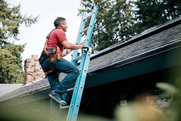 Best Roof Moss and Algae Removal  in Herald, CA